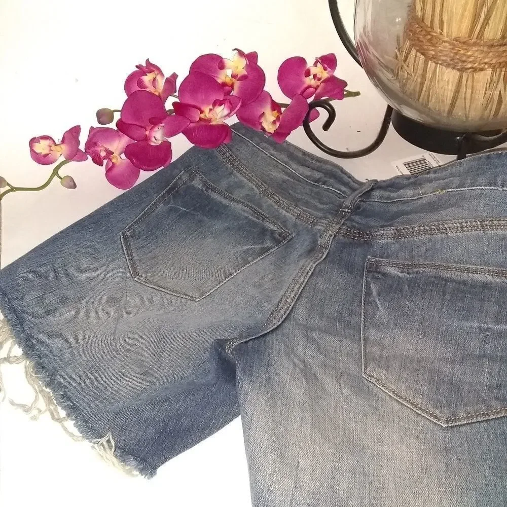 Madewell Destructed Jean Denim Shorts